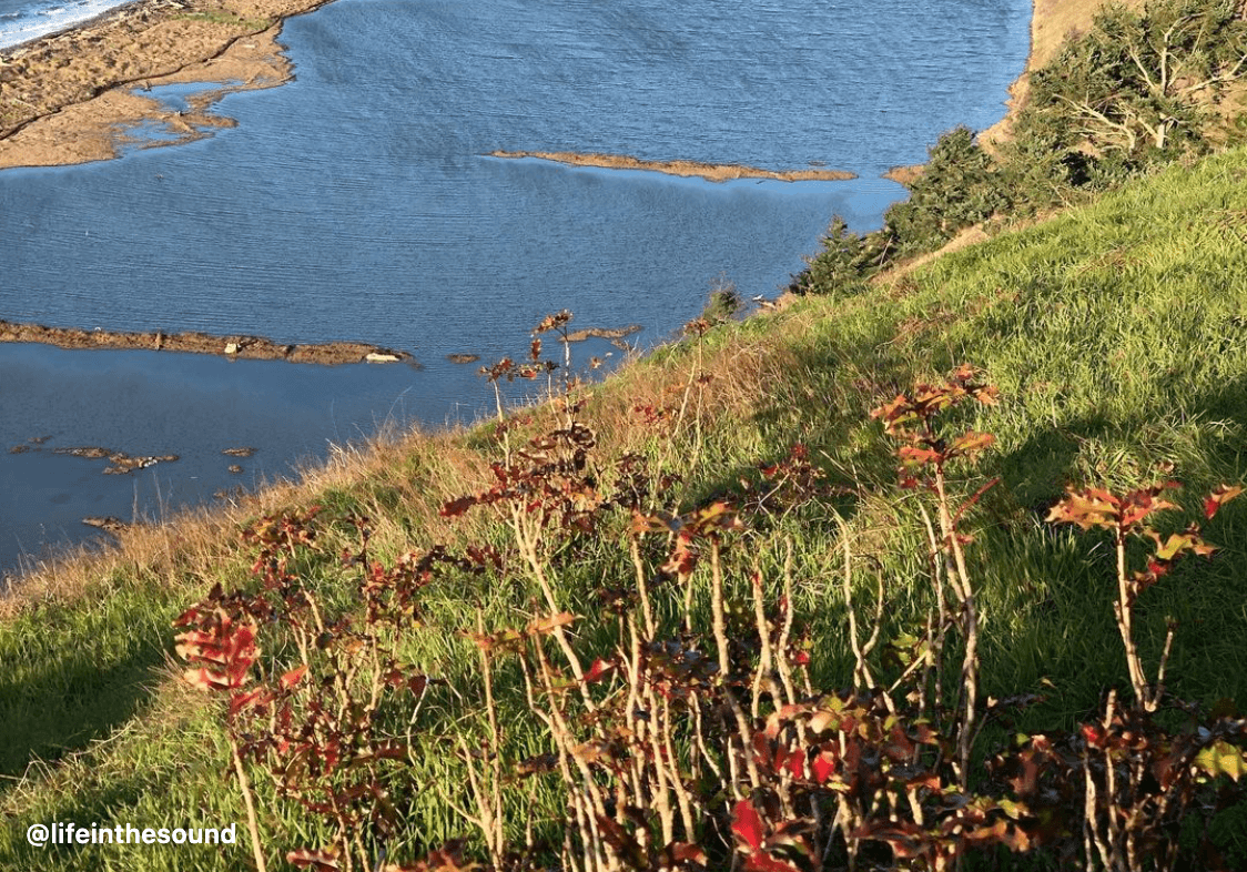 Ebey's Landing National Historical Reserve