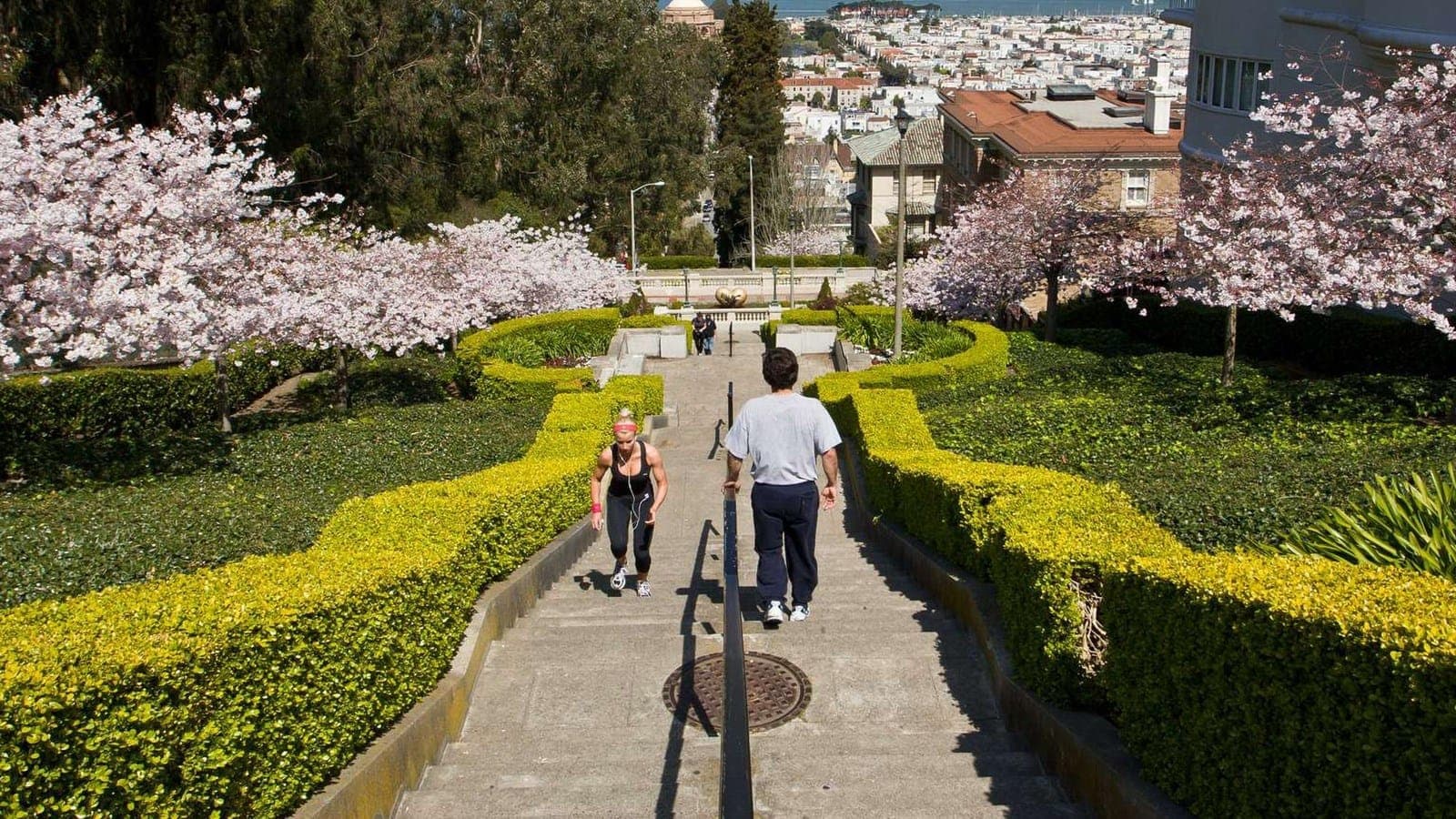 Lyon Street Steps in San Francisco - nps.gov