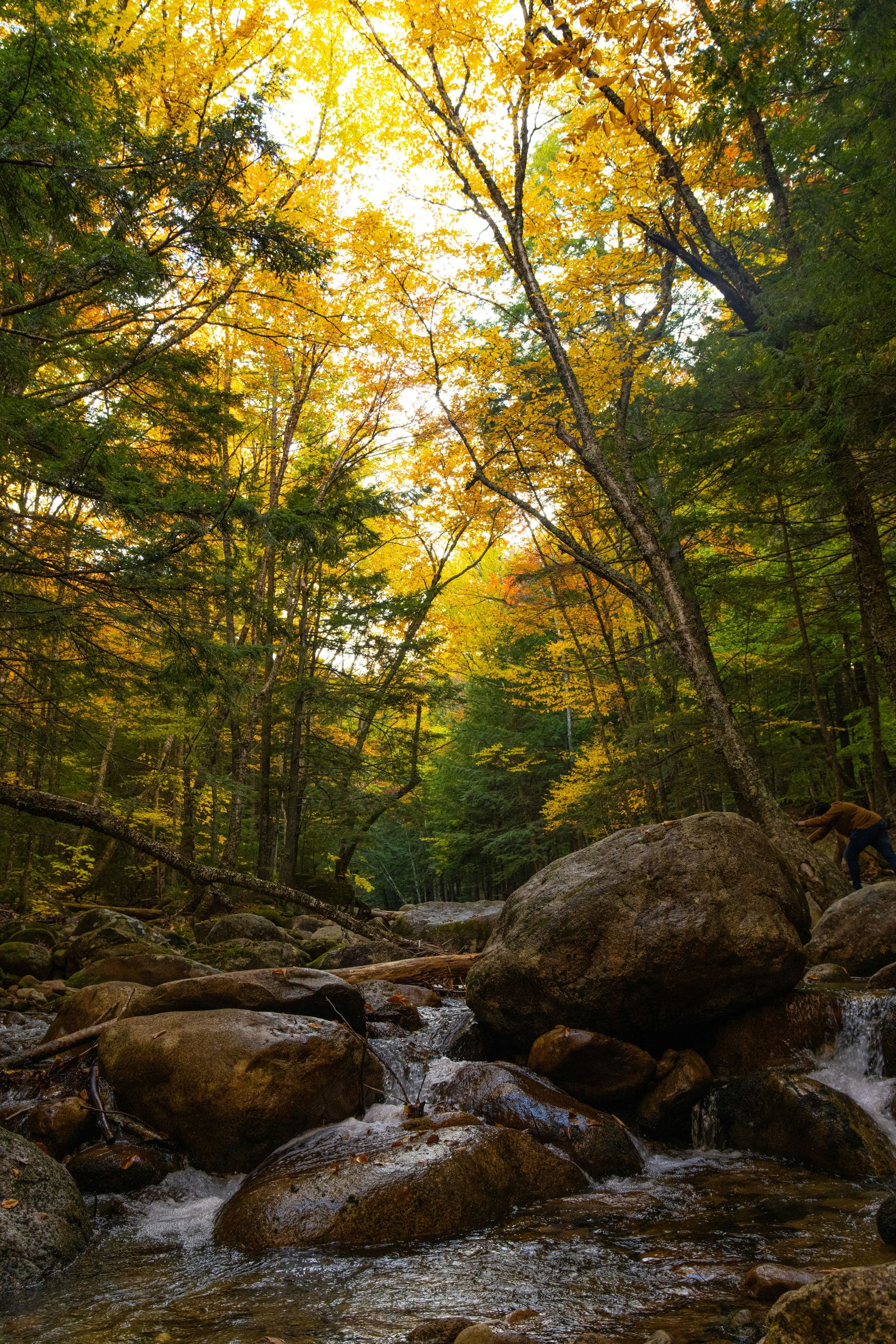 Kancamagus Highway in Conway by Lokesh Paduchuri on Unsplash
