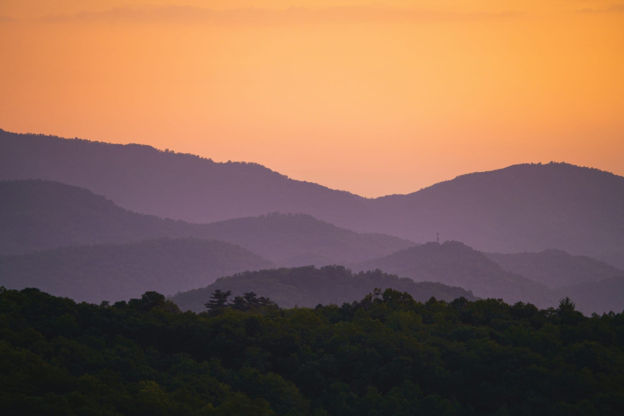 Photo by NATHAN MULLET on Unsplash